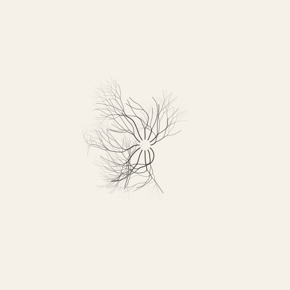 Magnetic Dendrite — field-guided growth